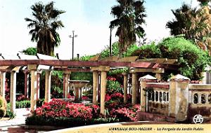 Hammam-Bou-Hadjar - Jardin Public - Pergola - 1958